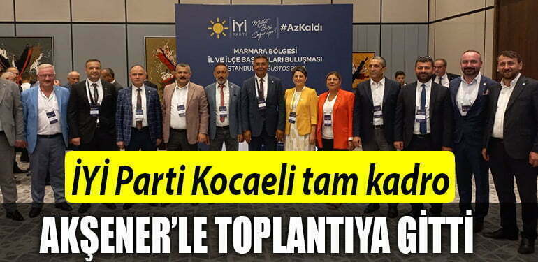 iyi parti