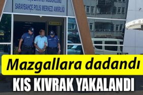 IZMIT MAZGAL HIRSIZI