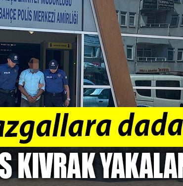 IZMIT MAZGAL HIRSIZI