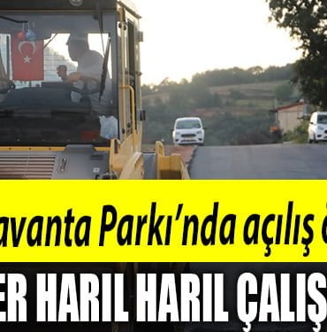 Lavanta