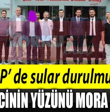 MHP BOYA