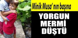 MUSA 1