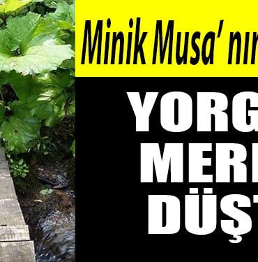 MUSA 1