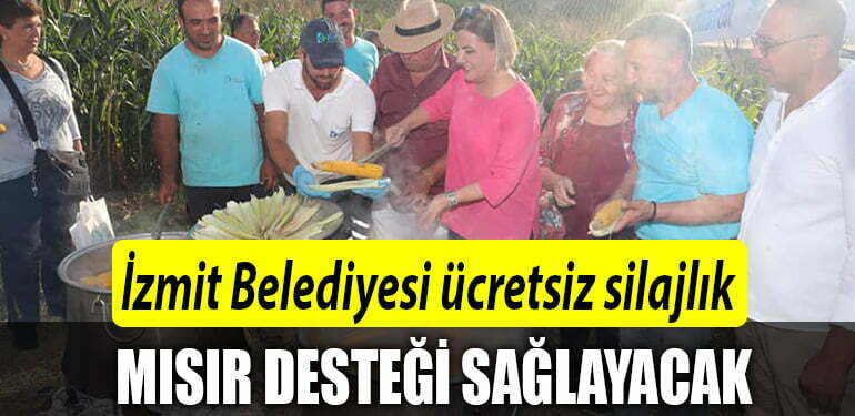 Misir destegi