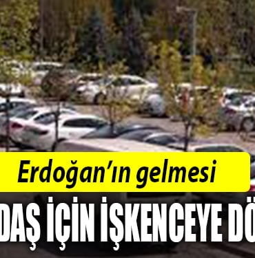 PARK