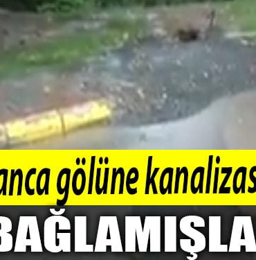 SAPANCA GOLU