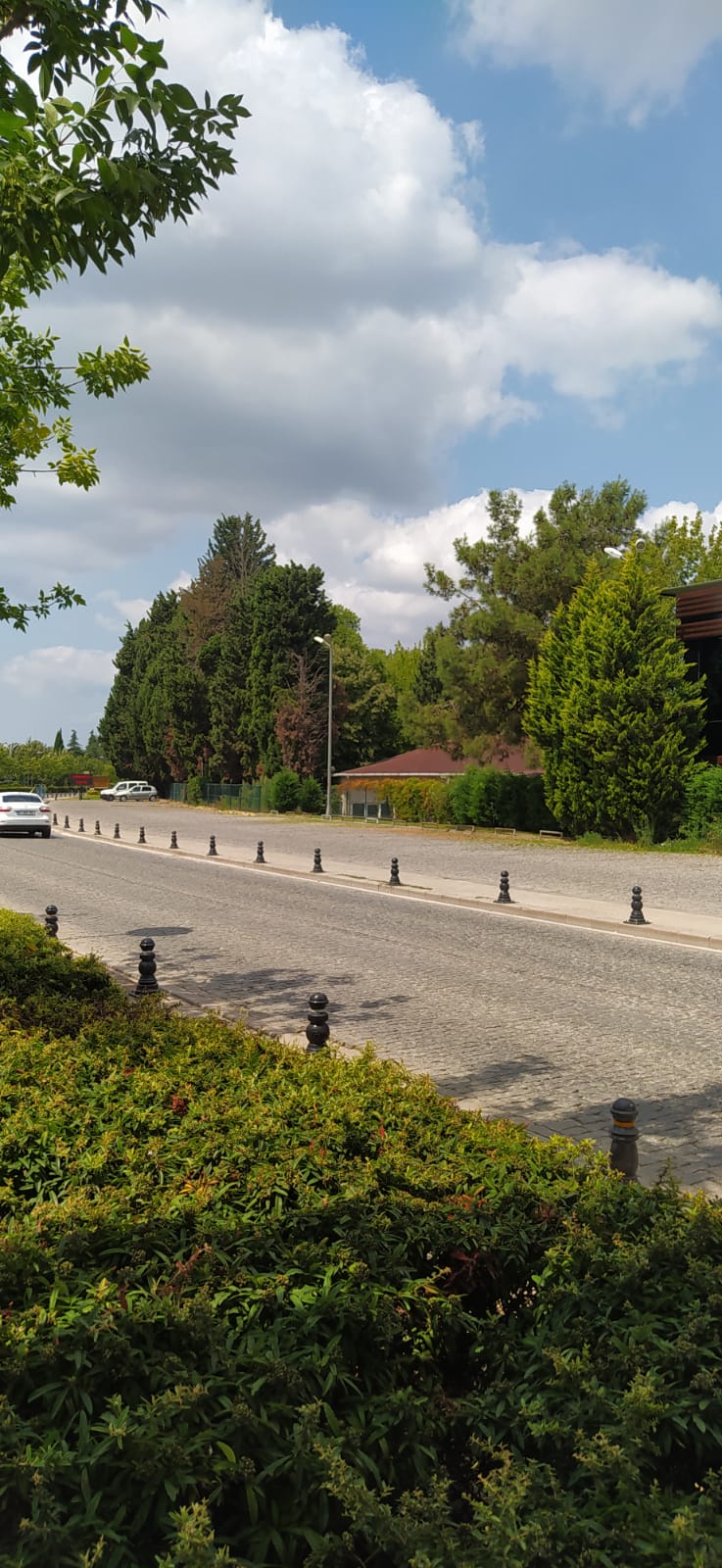 seka parkta araç park etmek yasak