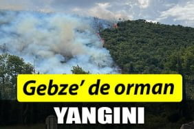 Gebze' de yangın