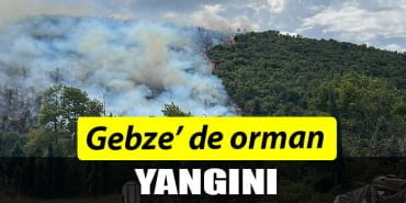 Gebze' de yangın