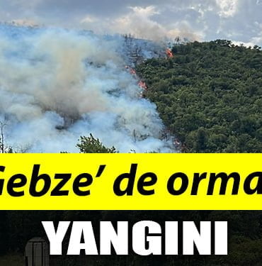 Gebze' de yangın