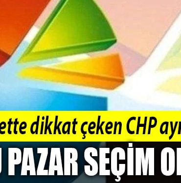 anket secim