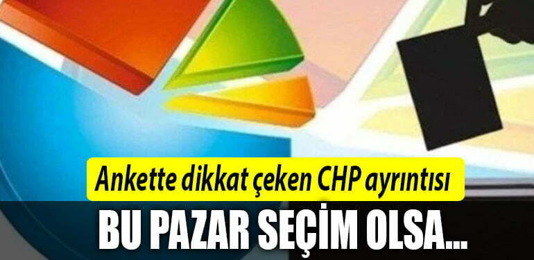 anket secim