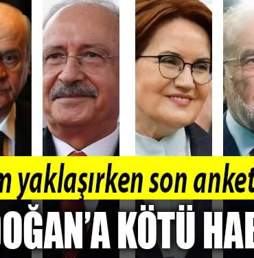 erdogan anket