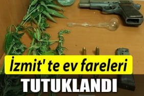 ev fareleri