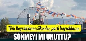 haluk tamyuksel