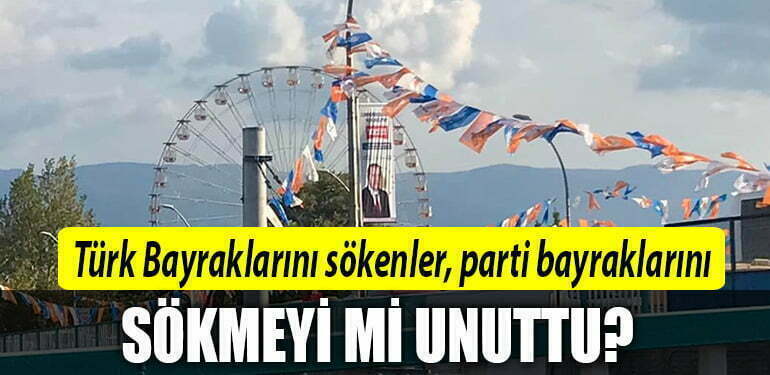 haluk tamyuksel