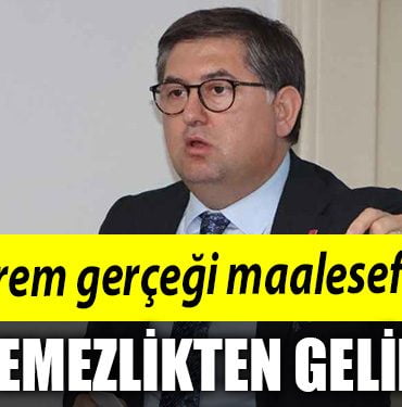 harun yildizli