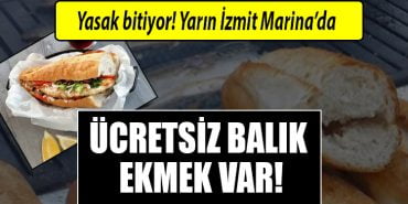 izmit marina ucretsiz balik ekmek