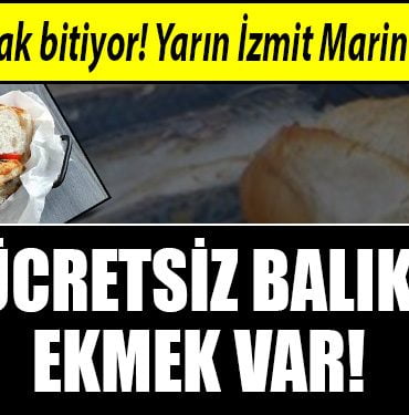 izmit marina ucretsiz balik ekmek