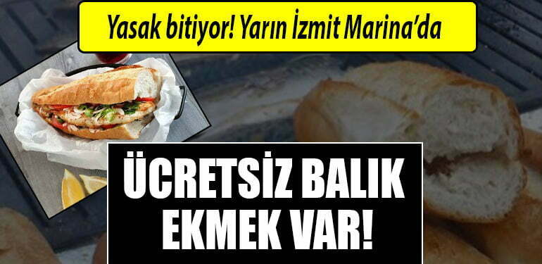 izmit marina ucretsiz balik ekmek