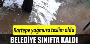kartepe yagmur