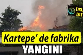 kartepe yangin 1