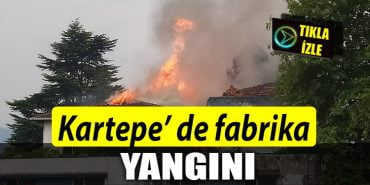 kartepe yangin 1