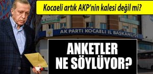 kocaeli ak parti oy oranlari