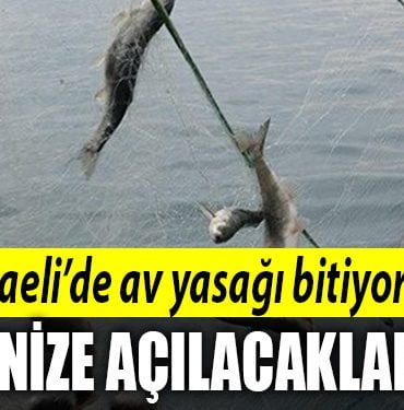 kocaeli av yasagi