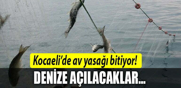 kocaeli av yasagi