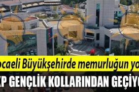 kocaeli buyuksehir memur