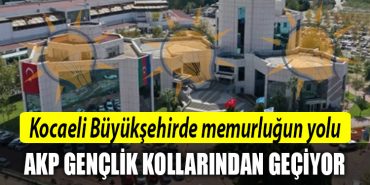kocaeli buyuksehir memur