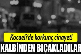 kocaeli cinayet 1