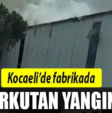 kocaeli fabrika yangin