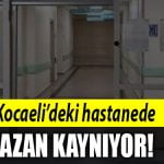 kocaeli hastane
