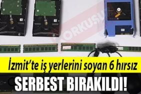 kocaeli hirsiz 1