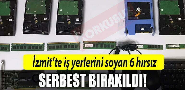 kocaeli hirsiz 1
