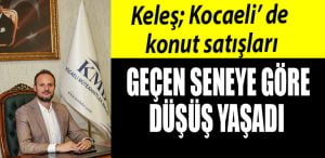 kocaeli konut satislari