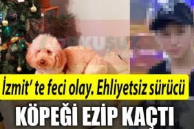 kopek 1