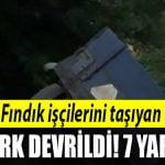 sakarya findik iscisi