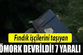 sakarya findik iscisi