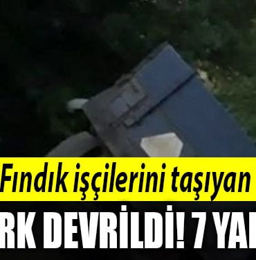 sakarya findik iscisi