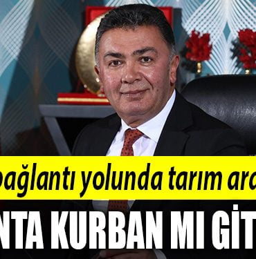 sanbaz yildiz kocaelispor
