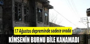 tavsancil