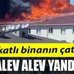 ALEV ALEV YANDI