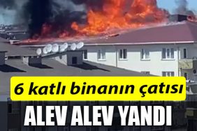 ALEV ALEV YANDI