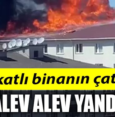 ALEV ALEV YANDI