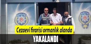 CEZAEVI FIRARISI ORMANLIK ALANDA