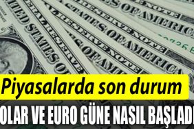 DOLAR EURO