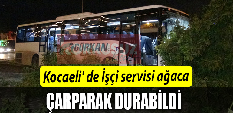 ISCI SERVISI